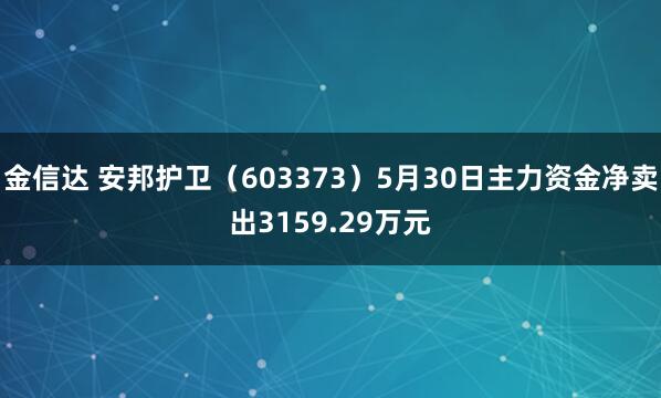 金信达 安邦护卫（603373）5月30日主力资金净卖出3159.29万元