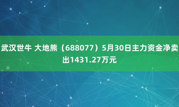 武汉世牛 大地熊（688077）5月30日主力资金净卖出1431.27万元