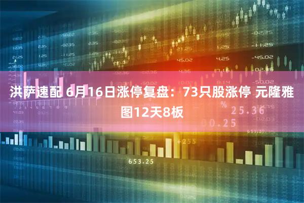 洪萨速配 6月16日涨停复盘：73只股涨停 元隆雅图12天8板